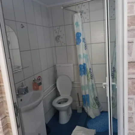 Casa Tulceanu Guest house