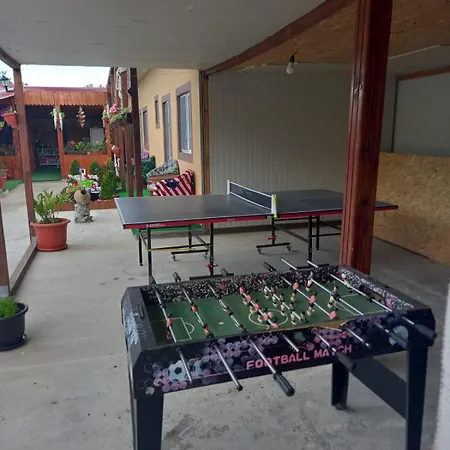 Casa Tulceanu Guest house *
